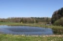 Etang de la ferme de Grosse Taille